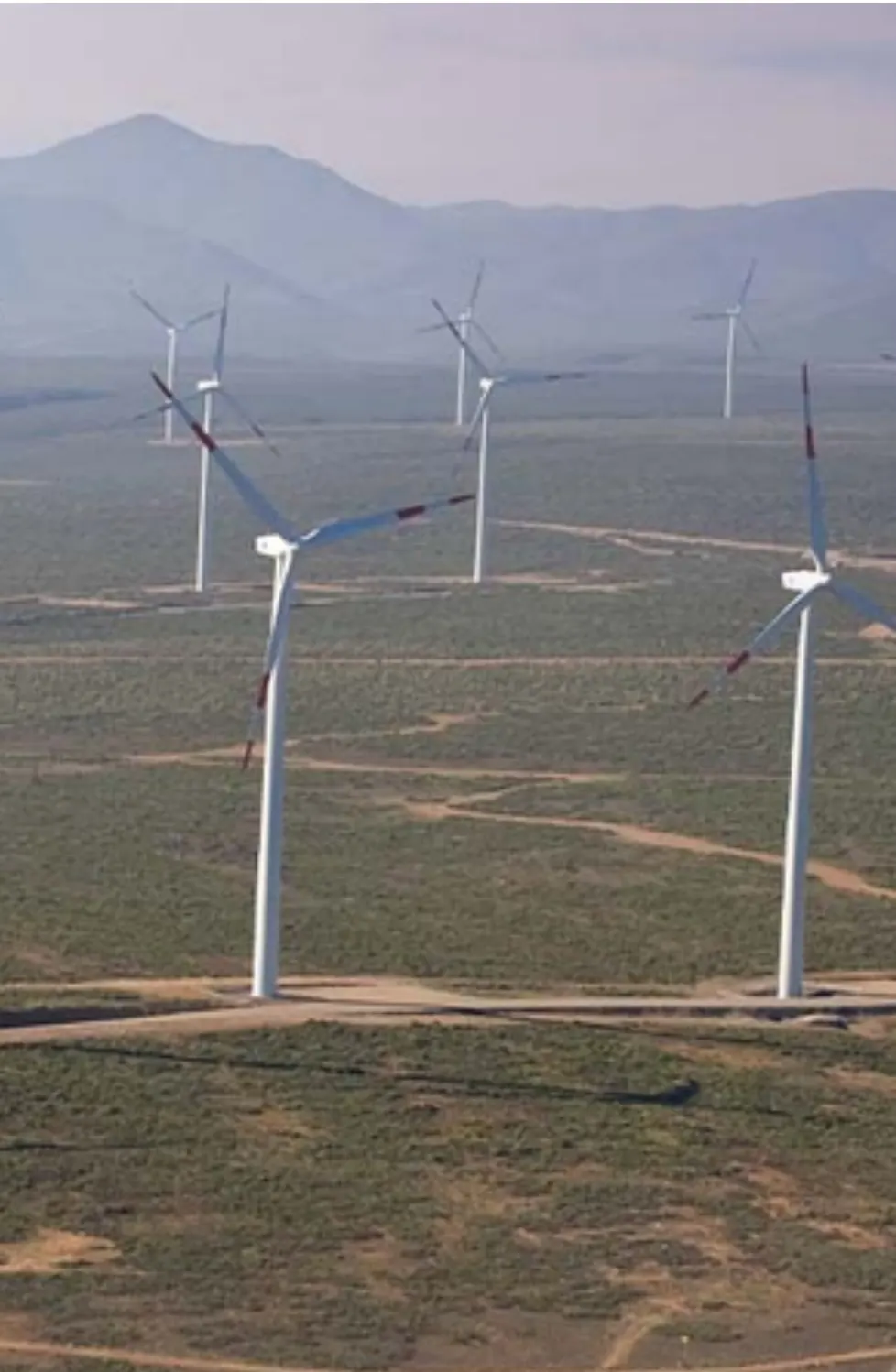 Proyecto Acciona Wind Power / Ferrovial S.A. · Parque Eólico Canela II, foto 2